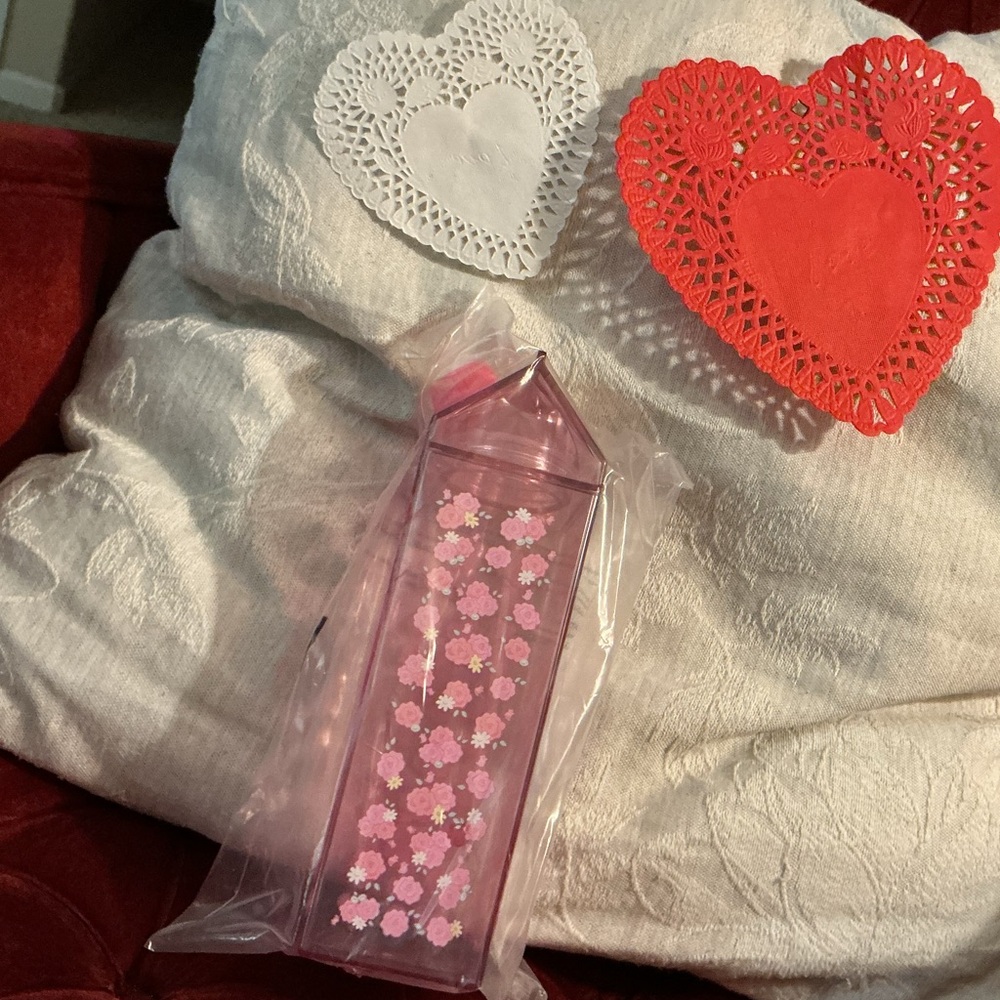 My Melody Pink Carton Water Bottle | Cute Valentine Gift